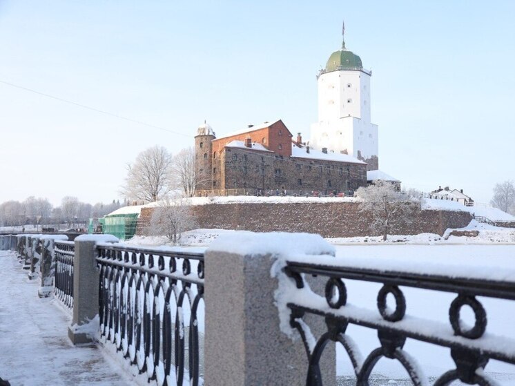 Время волшебства и чудес в Выборге стартует с 15 декабря. Об этом сообщил телеграм-канал администрации Выборгского района. С 15 декабря в городе начнутся главные новогодние и рождественские события и продлятся до 10 января 2026 года.