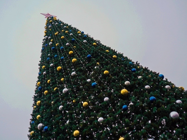 Десятиметровую елку установили в Центральном парке Тулы