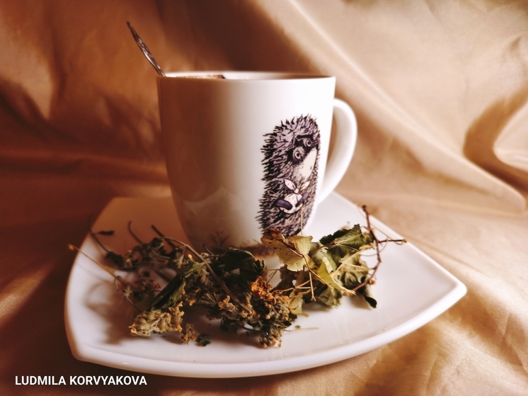 Федеральные журналисты изучили традиции чаепития в Карелии