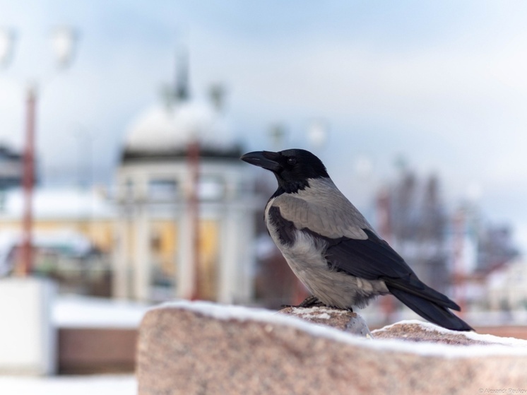 В Карелии ожидается морозная погода в начале новой недели