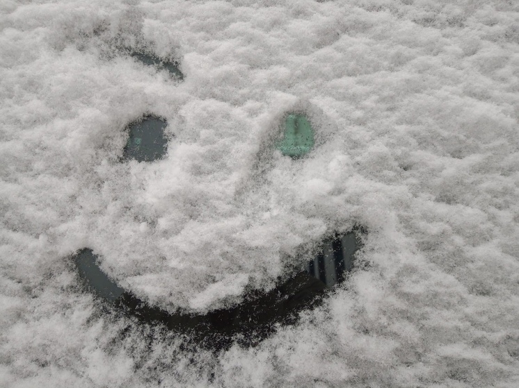 Зима снова начнет баловать ленинградцев «плюсом» с 15 декабря