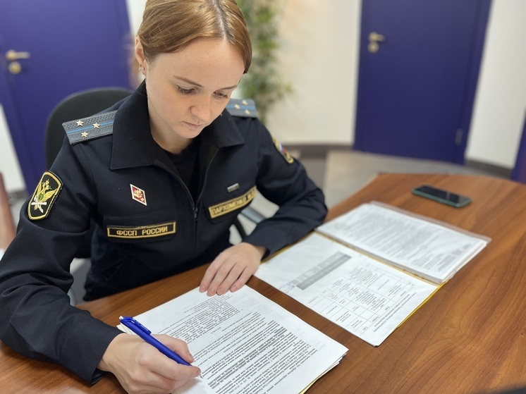 За год приставы Ленобласти выявили 51 нарушение у кредиторов и коллекторов