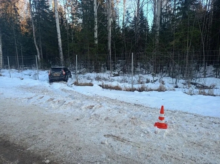 В Череповецком округе сотрудники правоохранительных органов выясняют детали смертельного ДТП