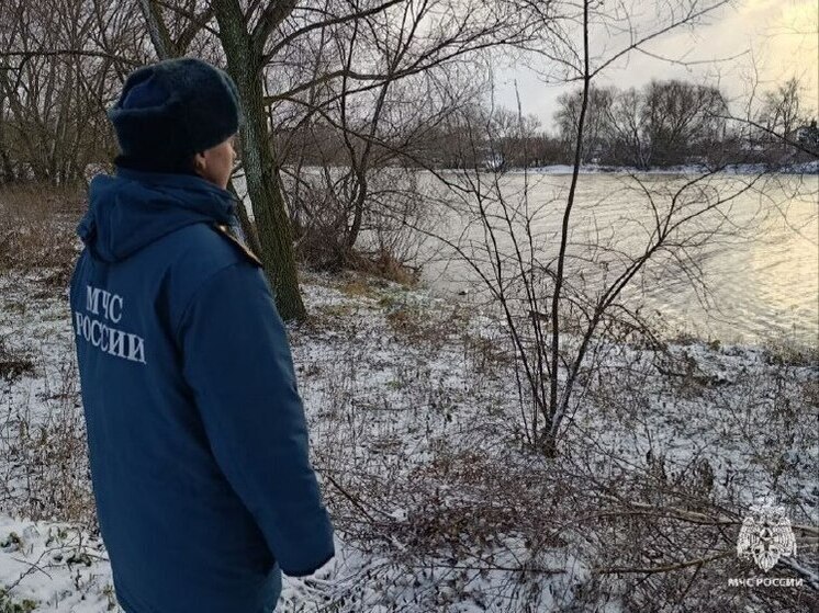 Сотрудники МЧС рассказали тулякам, как спасти человека, провалившегося под лед