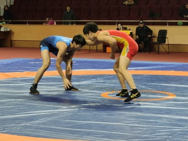 В Элисте проходит турнир по вольной борьбе