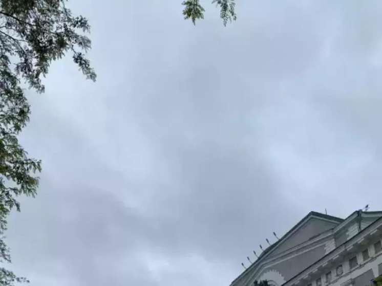 В Ростовской области уничтожили 52 беспилотника