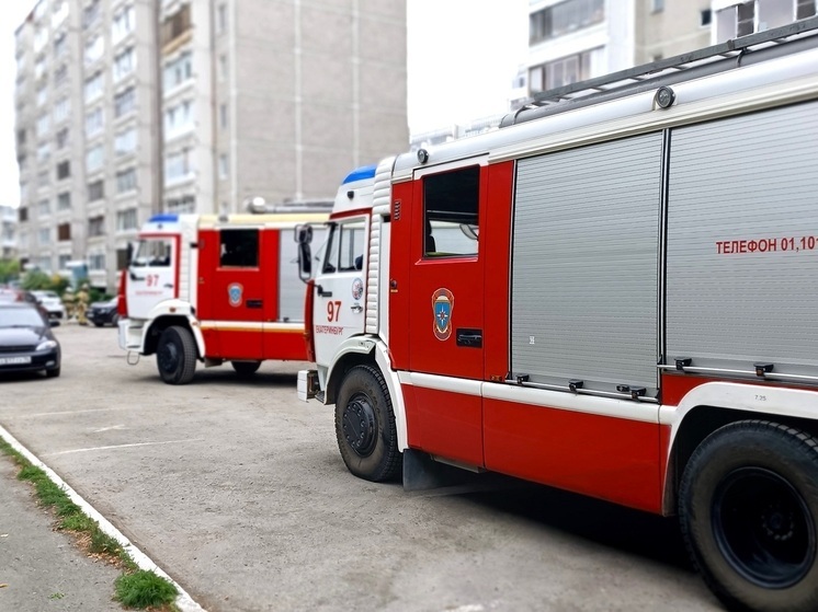 За сутки в Курганской области потушили шесть пожаров