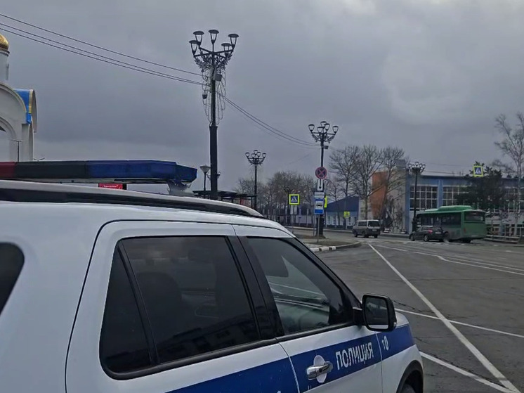 За три дня на Сахалине задержали 29 пьяных водителей и пресекли более 400 нарушений ПДД