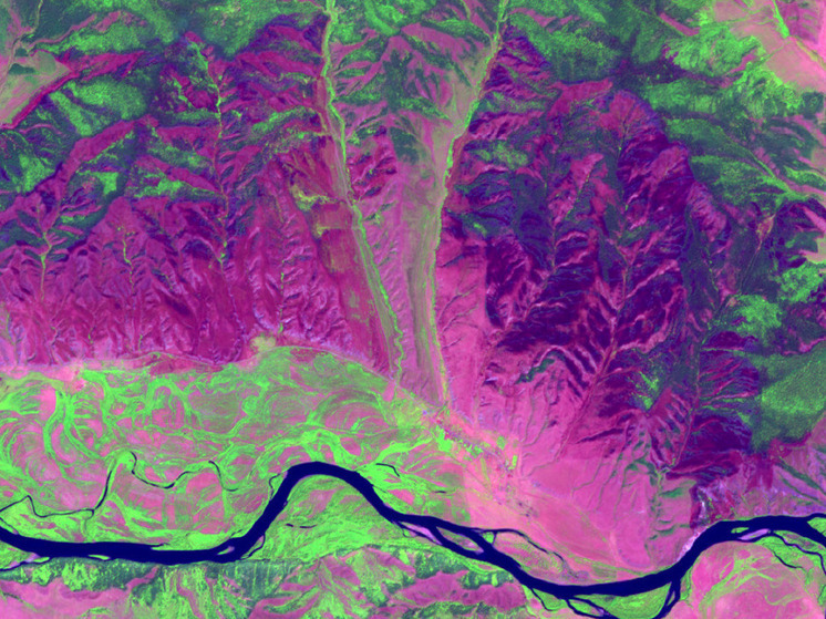 Космический диагноз: спутники выяснили, от чего страдают леса вокруг Байкала в Бурятии