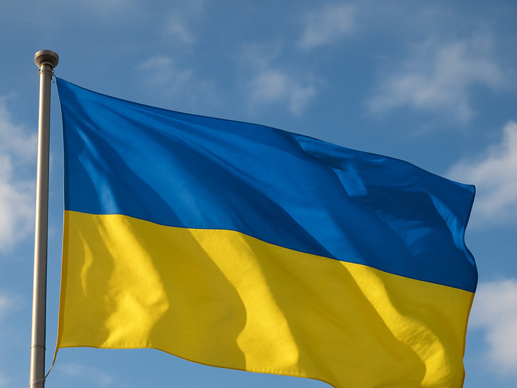 Экс-подполковника США Дэвиса возмутило заявление Макрона о мирном урегулировании