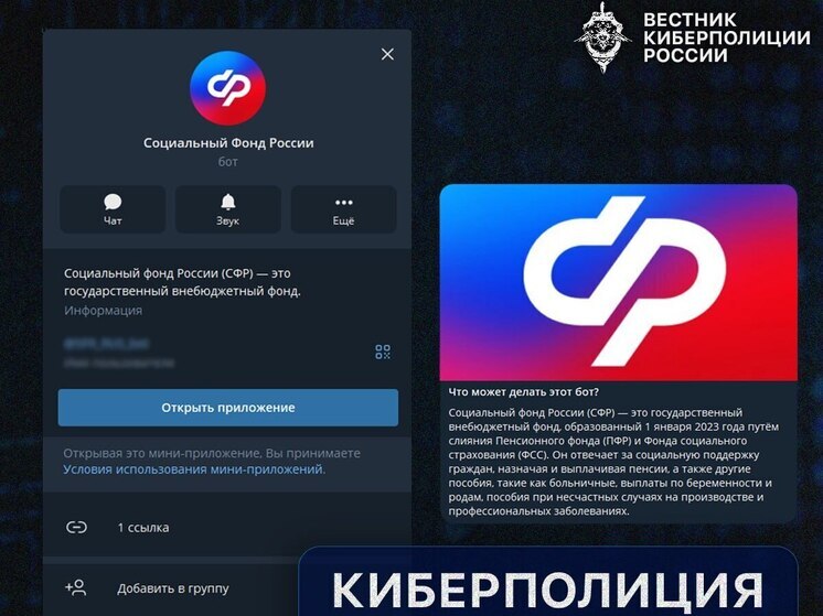 Курян предупредили о мошенниках, создающих фальшивые боты под видом СФР