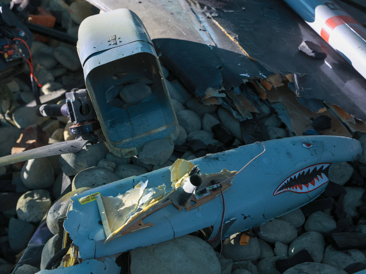 Собянин: силы ПВО сбили три БПЛА на подлете к Москве