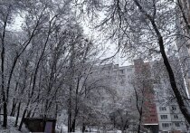 Расшифровываем послания вселенной для вас
Неделя начнется под влиянием напряженного аспекта между Солнцем и Сатурном