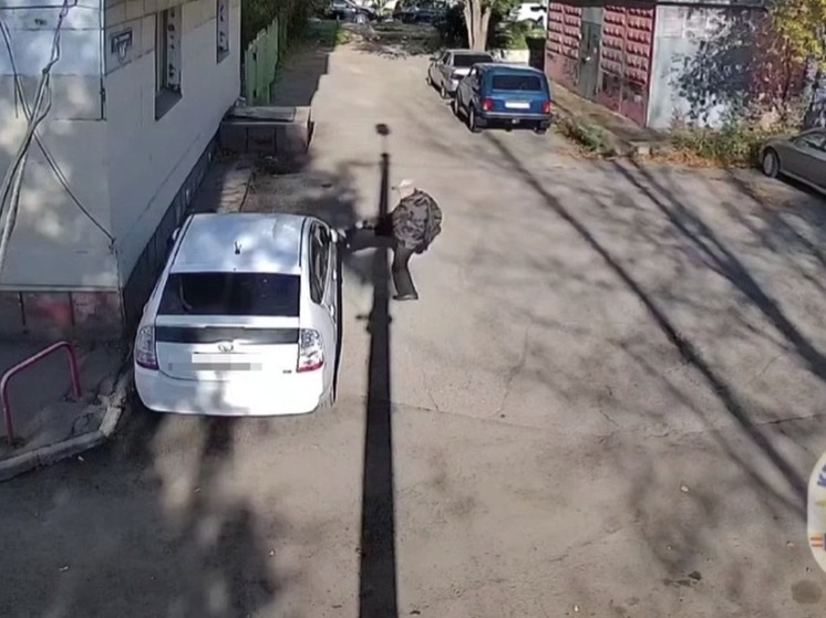 Красноярца, пнувшего соседскую машину из-за неприязни, будут судить по уголовной статье