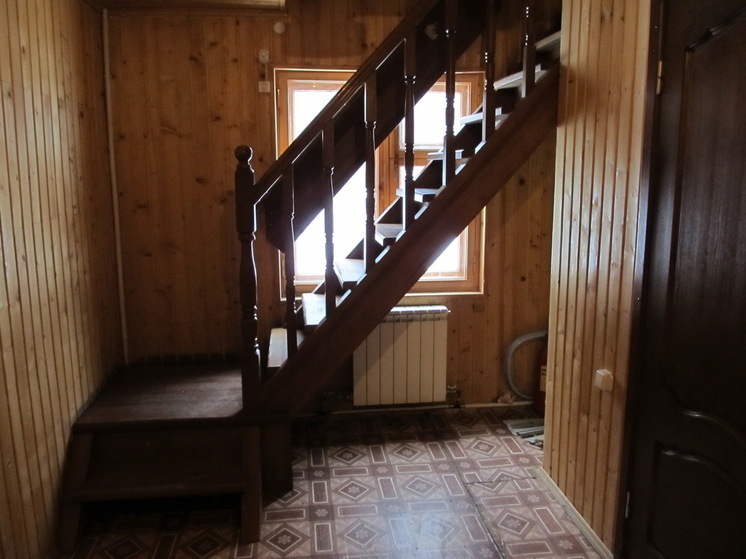 В Саратовской области обитает летучий нетопырь Куля и рыжая вечерница