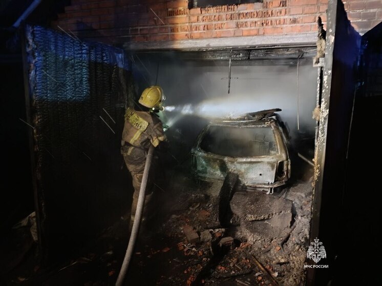 За неделю в Красноярском крае на пожарах погибли 7 человек, 5 получили травмы