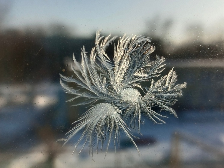 В понедельник днем в Воронежской области будет до 9 градусов мороза
