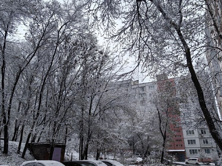 Приморский гороскоп на неделю с 15 по 21 декабря 2025 года