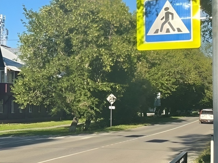 Мэрия Расцветовского сельсовета за три года не исправила дорожные нарушения