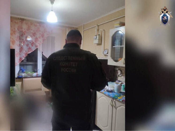 71-летний сернурец пришел в гости и зарезал хозяина квартиры