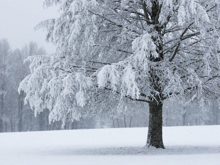 В Югре ожидается сложная погодная обстановка