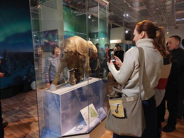Мумия ямальского мамонтенка Любы добралась до Улан-Удэ