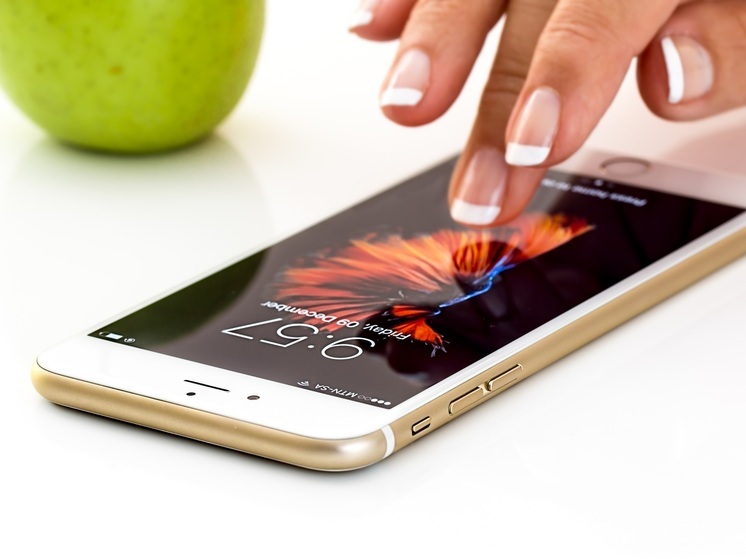 Госпаблики стали ключевым каналом поддержки для жителей Новосибирской области