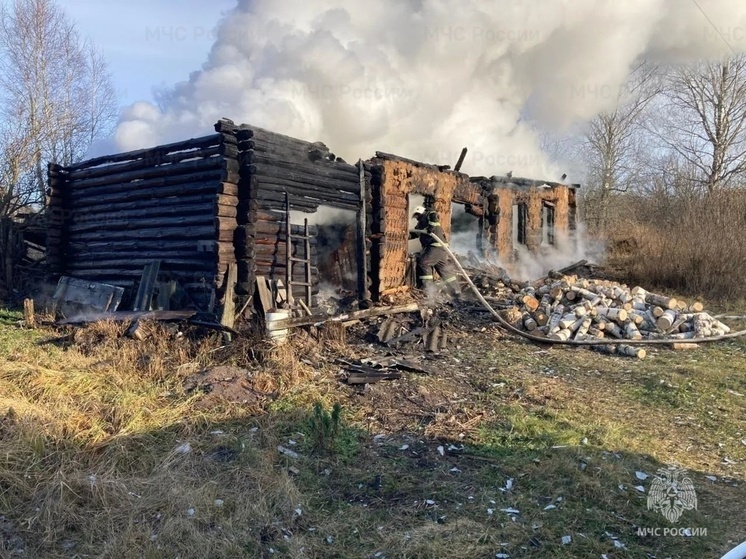 В брянском поселке Жучок сгорел жилой дом