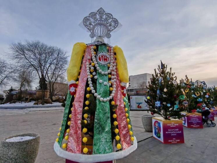 Голосование за лучшую новогоднюю ёлку началось в Забайкалье