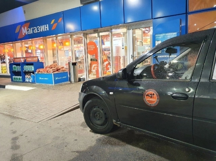 В ноябре волонтеры "Лиза Алерт" меньше стали искать в лесу, но больше - в городе