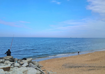 Появляется все больше шокирующих подробностей о кровавом теракта в Австралии: отец и сын вели стрельбу по мирным людям из лицензированного огнестрельного оружия