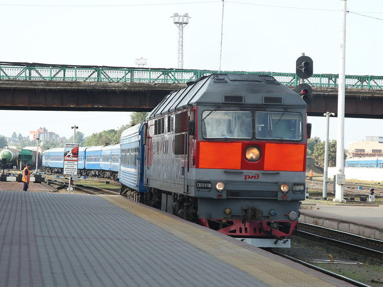 Поезд сбил насмерть двух человек в Подмосковье