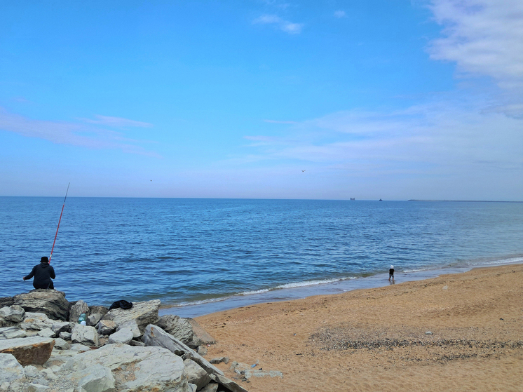 Появляется все больше шокирующих подробностей о кровавом теракта в Австралии: отец и сын вели стрельбу по мирным людям из лицензированного огнестрельного оружия