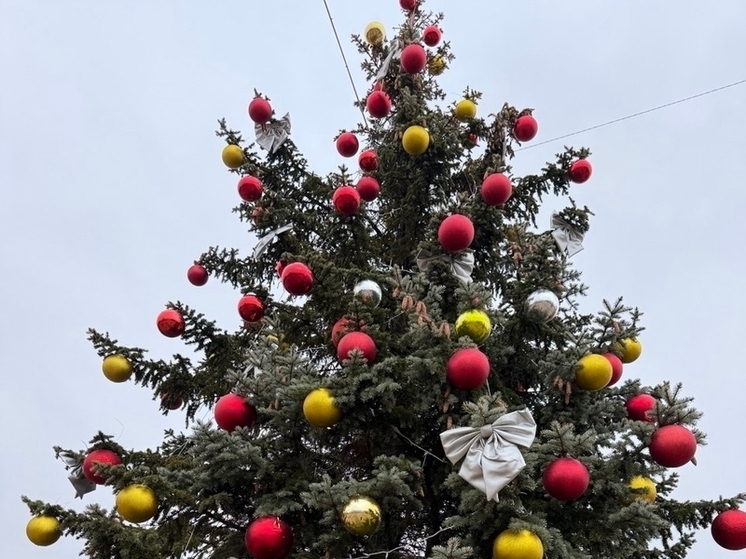 В Вейделевке новогоднюю елку готовят к открытию