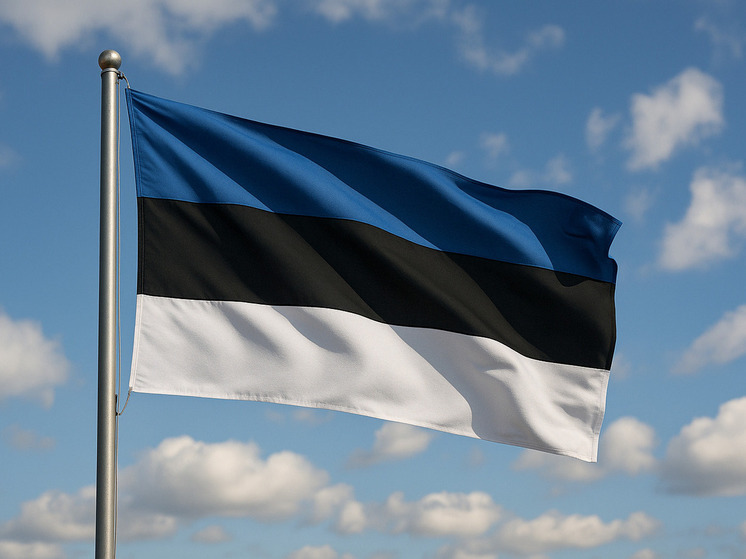 РБК: Эстония предложила оплатить разрыв сделок Венгрии по российскому газу