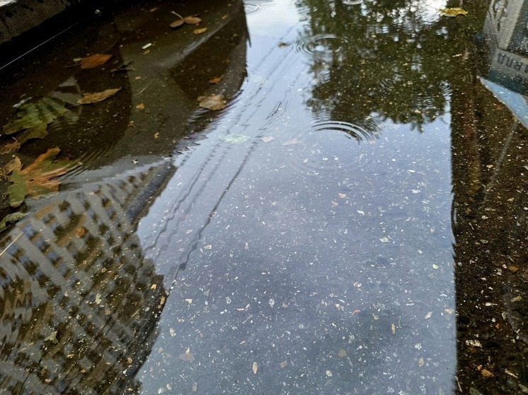 В Сочи и ФТ Сириус 15 декабря ожидается небольшой дождь и температура до +9°C