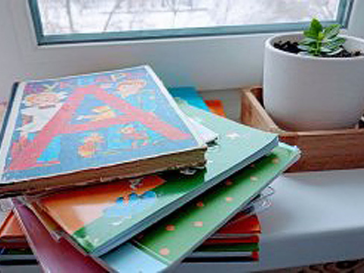 В Балаковском и Питерском районах школы перешли на дистанционное обучение из-за непогоды