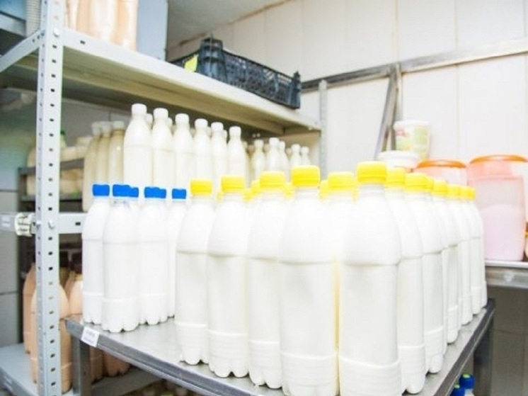 В Волгоградской области выявили 700 кг молока сомнительного происхождения