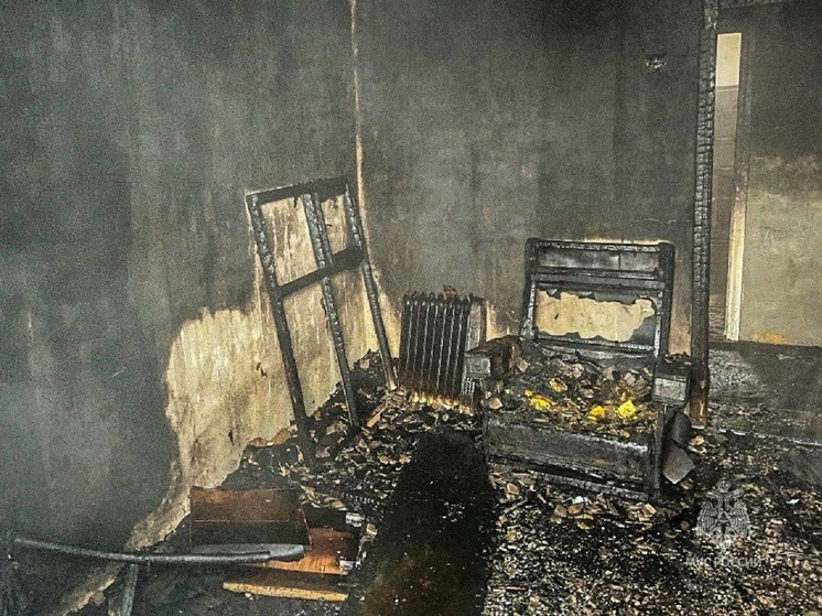 При пожаре в курганском селе Сухоборском погиб человек