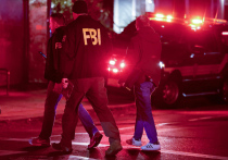 ФБР утверждает, что успешная продюсер сериала в жанре "трукрайм" все это время была настоящим преступником