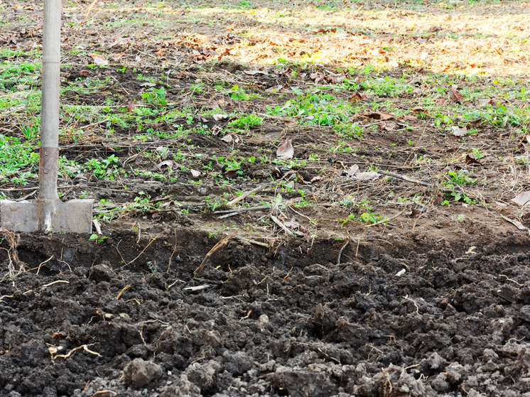 Жителя Архангельской области оштрафовали за загрязнение почвы навозом