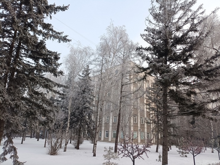 Алексей Лемин высказался против вырубки сквера в столице Хакасии под гастроцентр