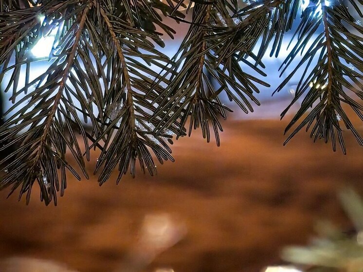 От рекордных морозов до плюсов: какую погоду ждать в Приморье на этой неделе