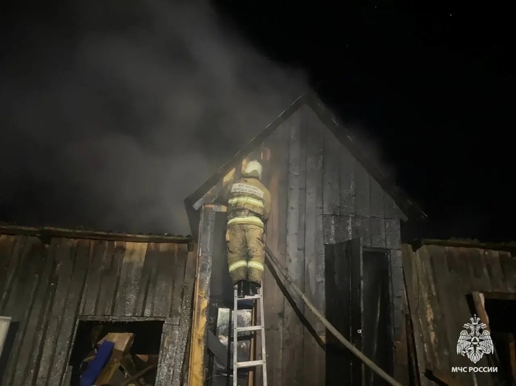 Женщина пострадала на пожаре в Тверской области