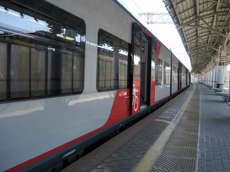 Мужчина попал под поезд на станции МЦК