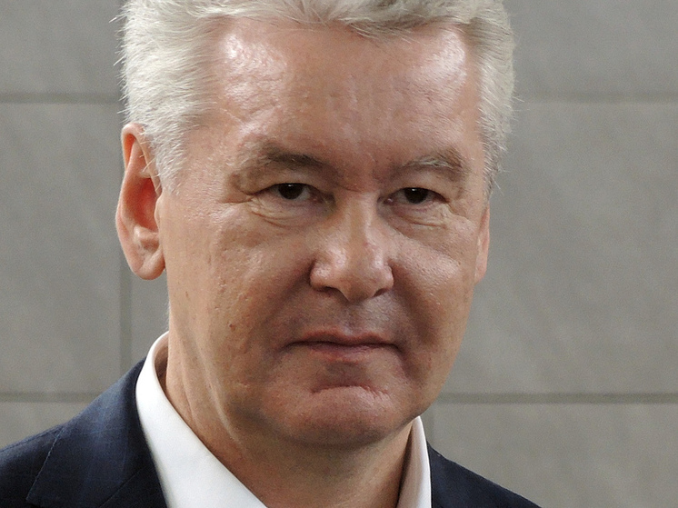 Собянин заявил о двадцатом с ночи сбитом дроне, летевшем к Москве