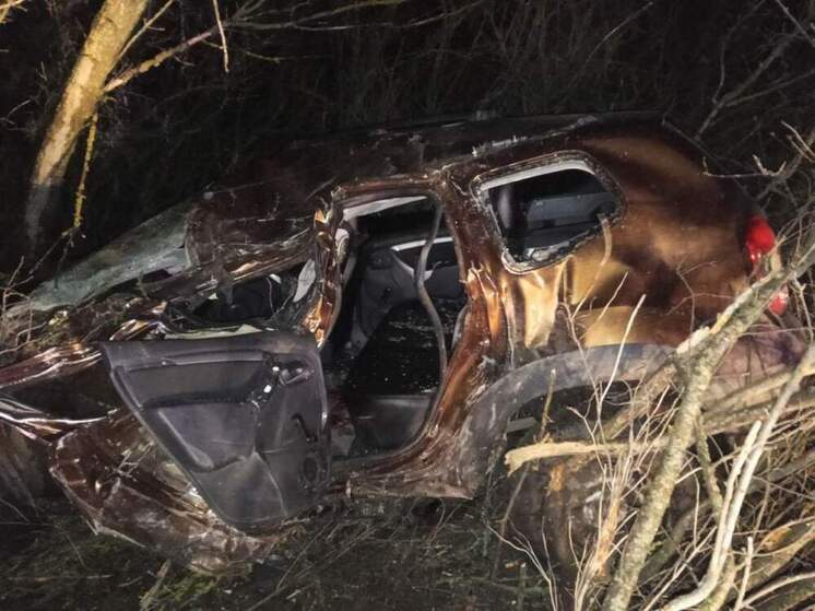 В Пристенском районе водитель Renault Duster врезался в дерево
