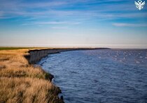 Председатель Правительства Российской Федерации Михаил Мишустин утвердил постановление о создании Азово-Сивашского национального парка в Херсонской области