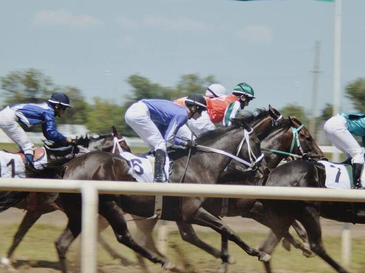 В 2026 году планируют начать реконструкцию Краснодарского ипподрома