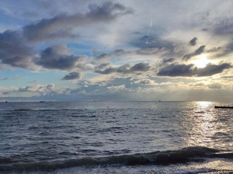 Северный бассейн нарастил экспорт живого краба в Азию